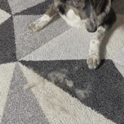 Magical Brush